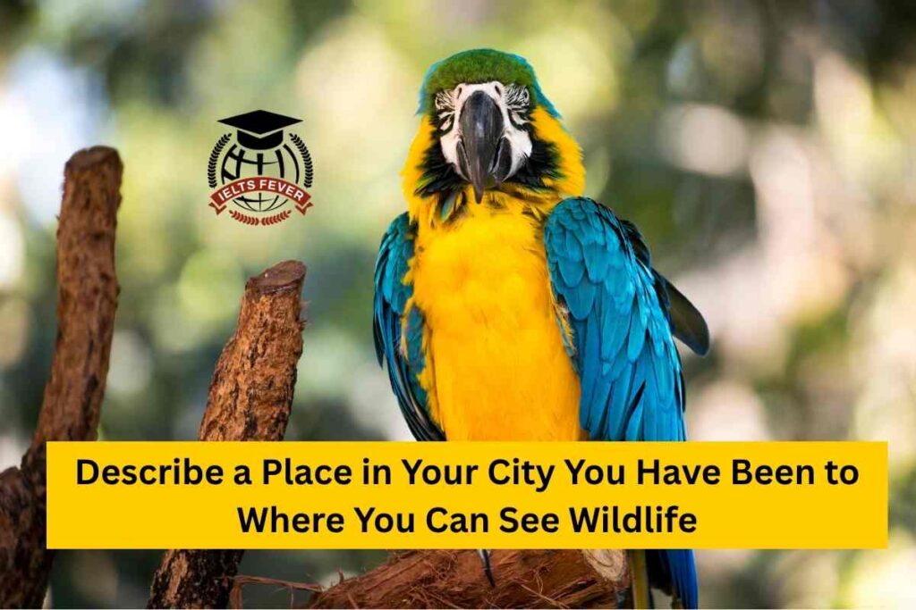 Describe a Place in Your City You Have Been to Where You Can See Wildlife