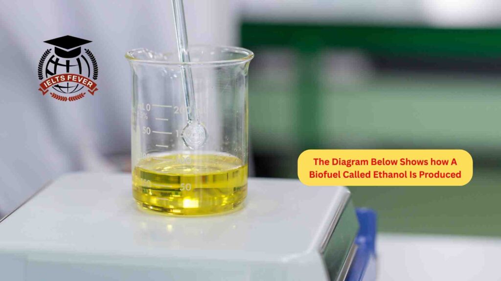 The Diagram Below Shows how A Biofuel Called Ethanol Is Produced